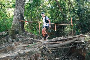 BIB: 
                            <button type="button" onclick="openModal(27744595)" class="btn btn-primary btn-sm float-right btn-popup" data-toggle="modal" data-target=".modal-high-quality">
                        <i class="fas fa-shopping-cart"></i> Add to Cart
                    </button>
                                            <button type="button" onclick="isThisMe(27744595, true)" class="btn btn-success btn-sm float-right btn-popup btn-isme hidden" data-toggle="tooltip" data-placement="bottom" title="นี่คือรูปของคุณใช่ไหม คลิกที่นี่เพื่อเอาเข้าอัลบั้ม">
                        <i class="fas fa-plus"></i> Add to album
                    </button>
                    <button type="button" onclick="isThisMe(27744595, false)" class="btn btn-warning btn-sm float-right btn-popup btn-isnotme hidden">
                        <i class="fas fa-ban"></i> Remove from album
                    </button>